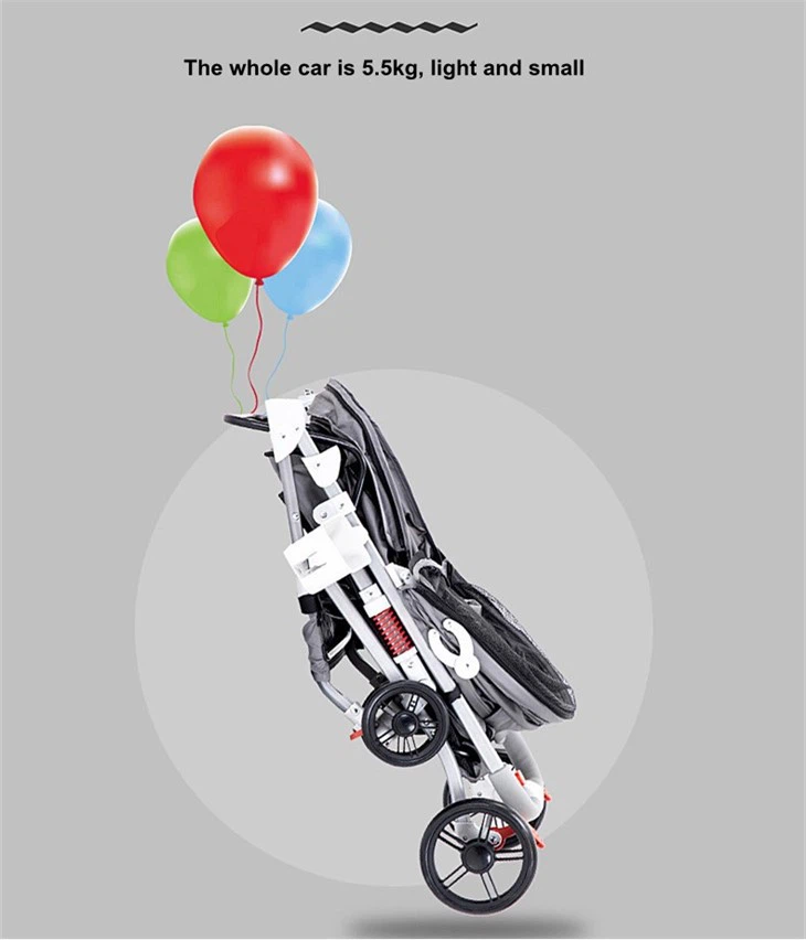 Dog Trolley